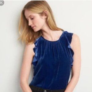 GAP Blue Velvet Top With Ruffled Sleeves